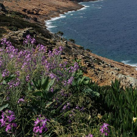 Rock Bay Villas - Luxury Villas In Crete Agia Pelagia Екстериор снимка