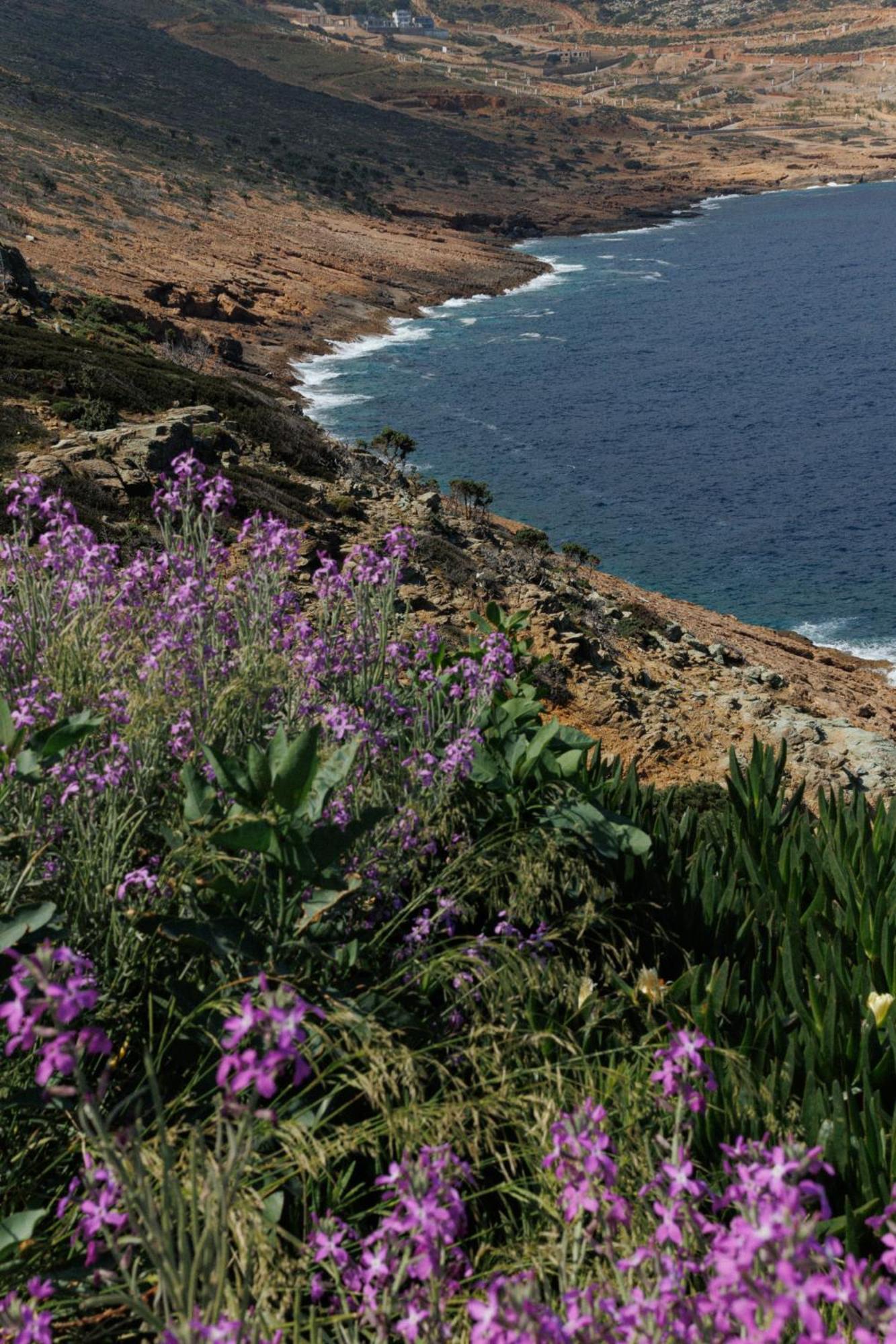 Rock Bay Villas - Luxury Villas In Crete Agia Pelagia Екстериор снимка